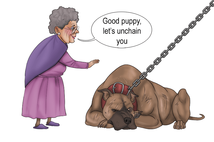 262 UNCHAIN